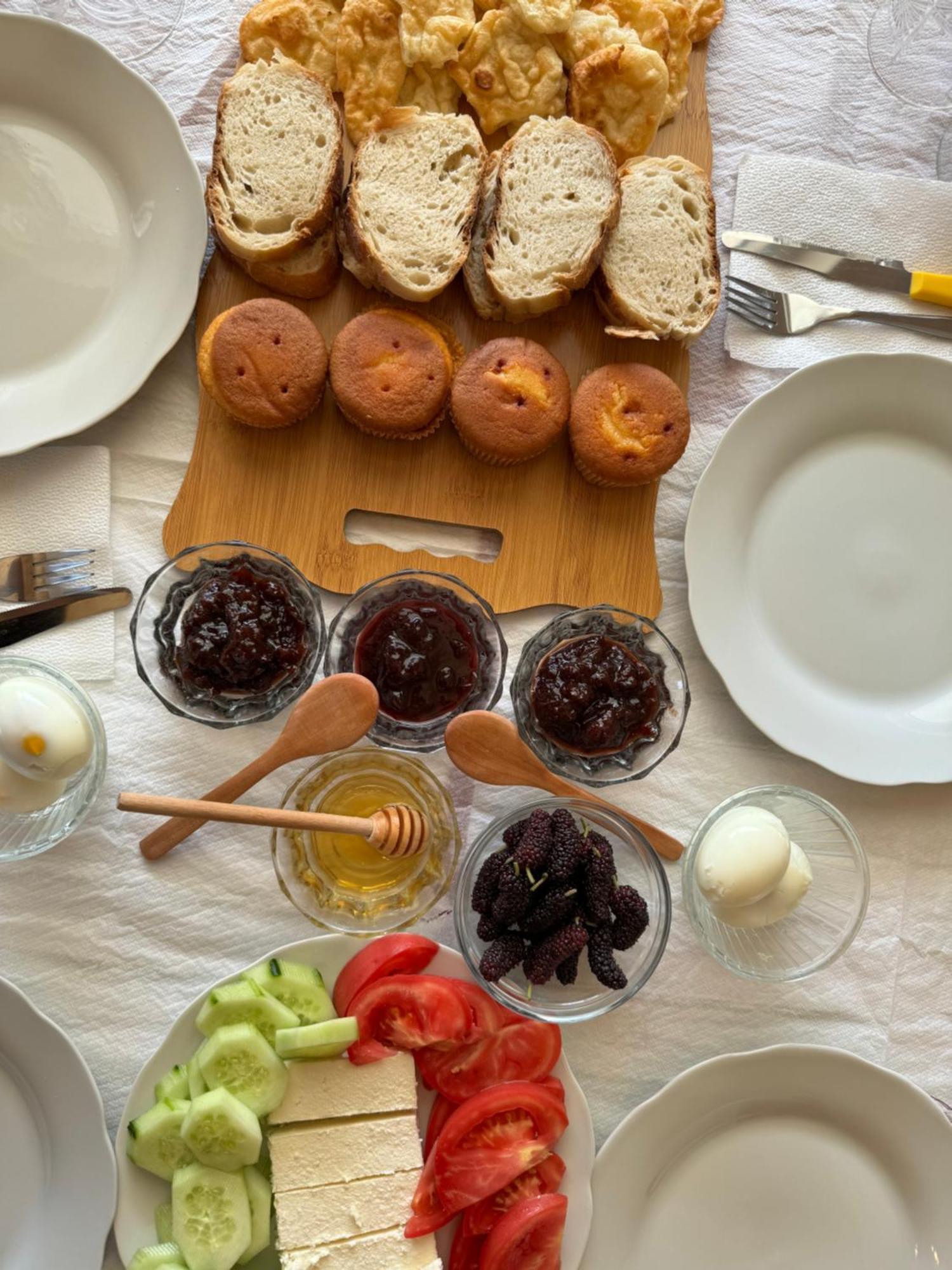 Qyteza Guest House & Camping Shkodër エクステリア 写真